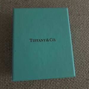 Tiffany & Co. Turquoise Gift Box